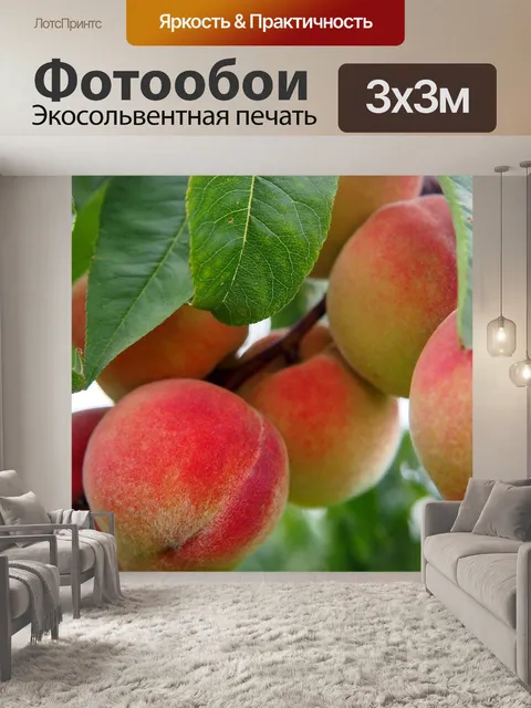Фотообои Персик