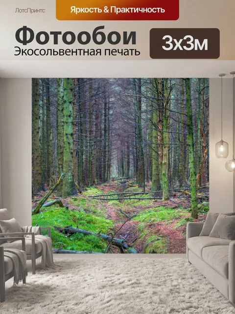 Фотообои лес