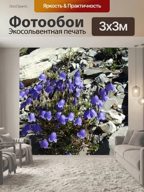 Фотообои Горные цветы