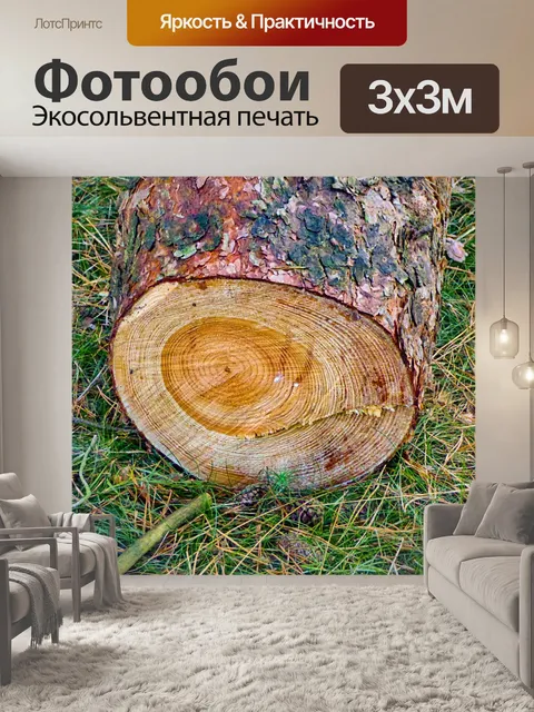 Фотообои дерево