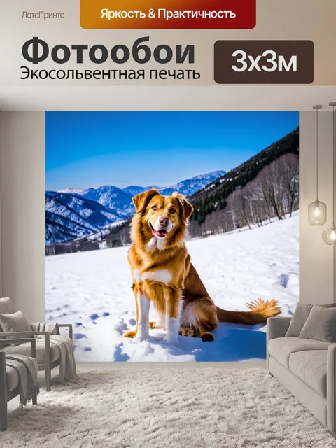 Фотообои с собакой, сидящей на снегу в горах, снежные пейзажи вокруг, ясное голубое небо, ветер играет с шерстью
