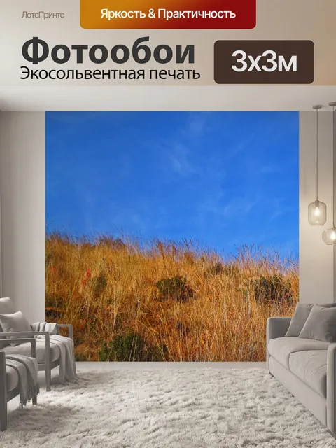 Фотообои вершина холма с голубым небом