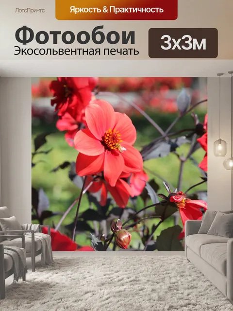 Фотообои Цветы