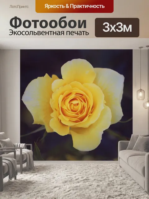 Фотообои Роза