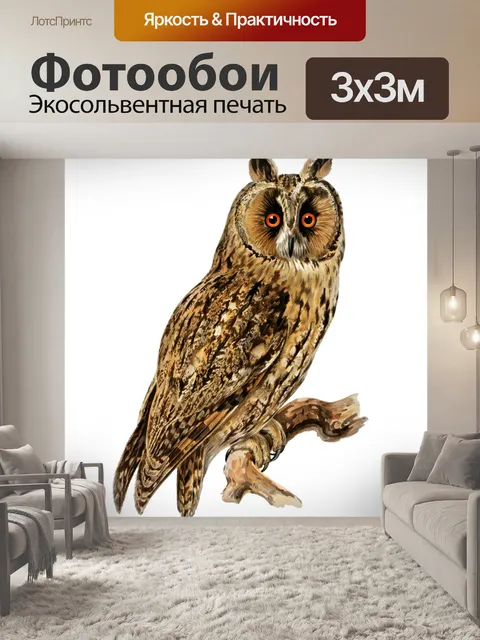 Фотообои Клипарт Owl eagle owl bird