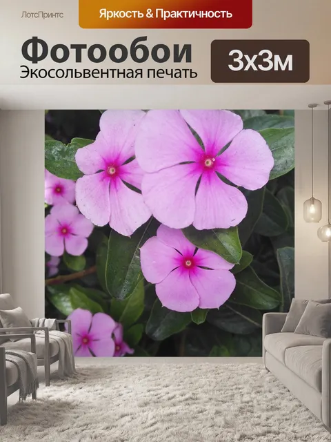 Фотообои Цветы