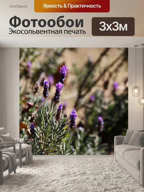 Фотообои стебли лаванды с фиолетовыми цветами