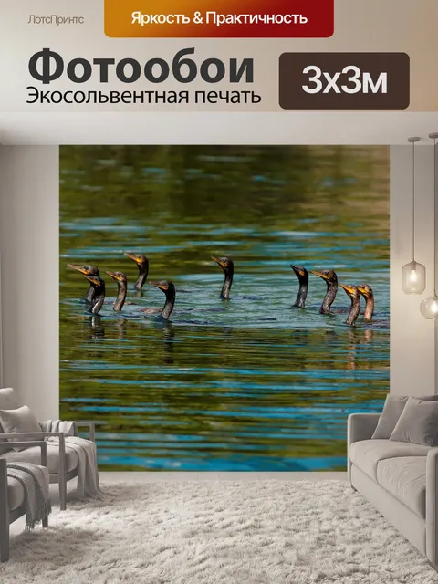 Фотообои Птицы