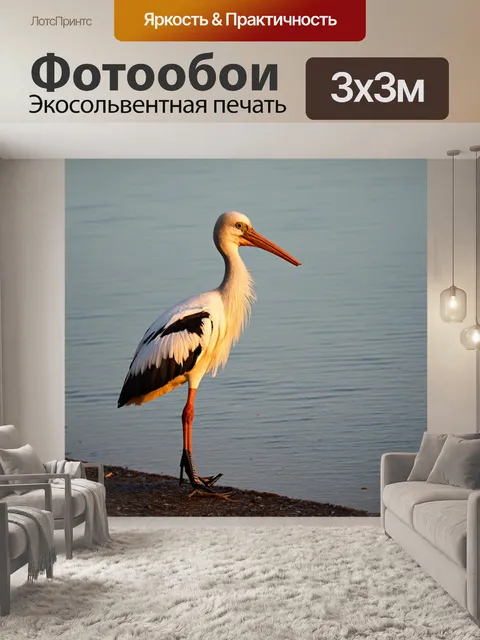Фотообои аист, стоящий на одном ноге на берегу спокойного озера, солнечный рассвет освещает его белое перо