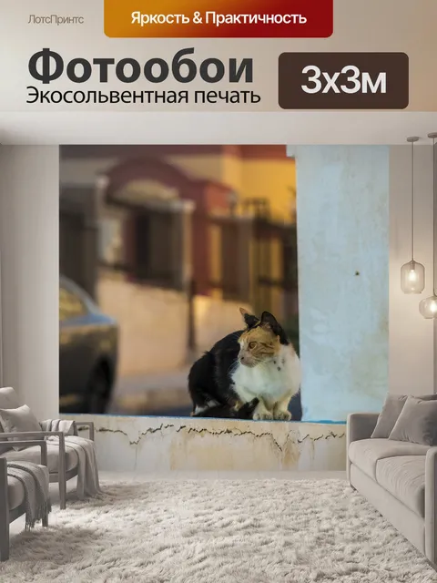 Фотообои Кошка