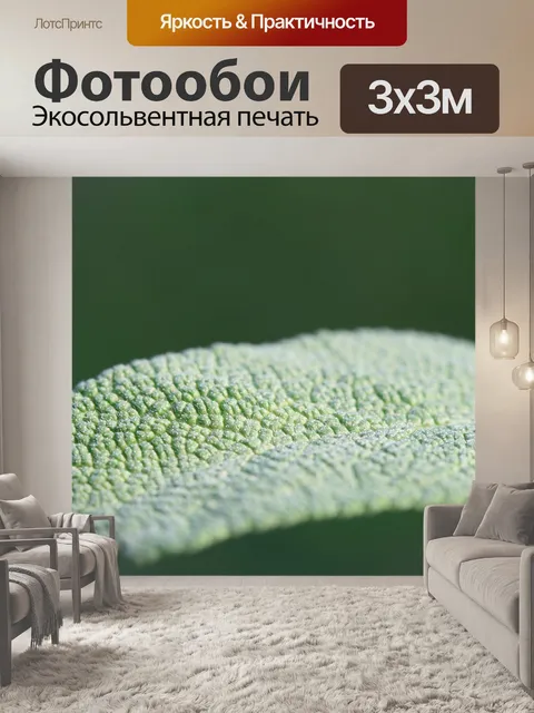 Фотообои Природа