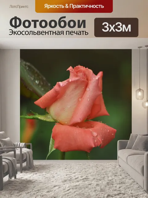 Фотообои Нежность