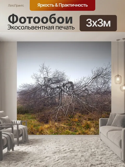 Фотообои Туман