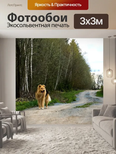Фотообои Собака