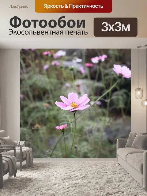 Фотообои Космос