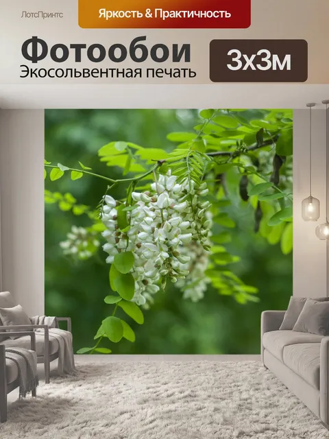 Фотообои Цветы