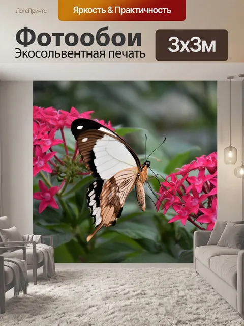 Фотообои Бабочка