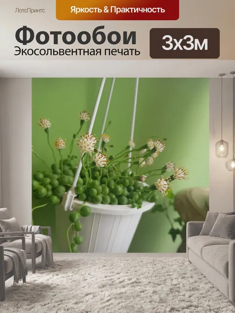 Фотообои Растения