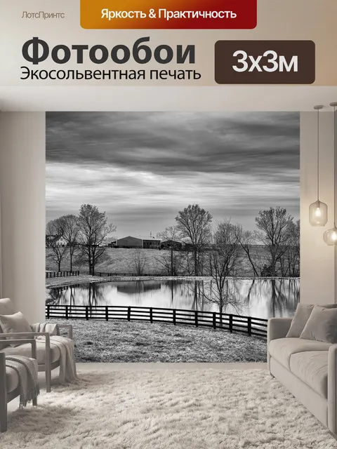Фотообои Монохромный
