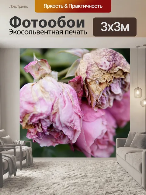 Фотообои Розы