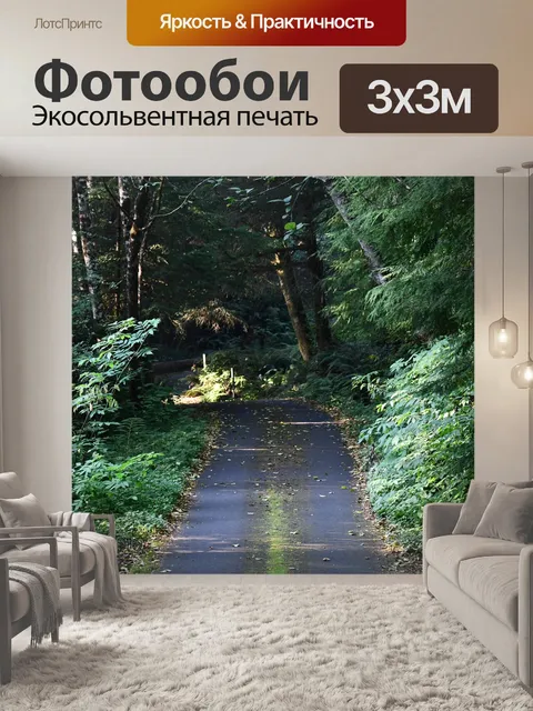 Фотообои Дорога