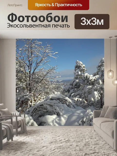 Фотообои Затормозил