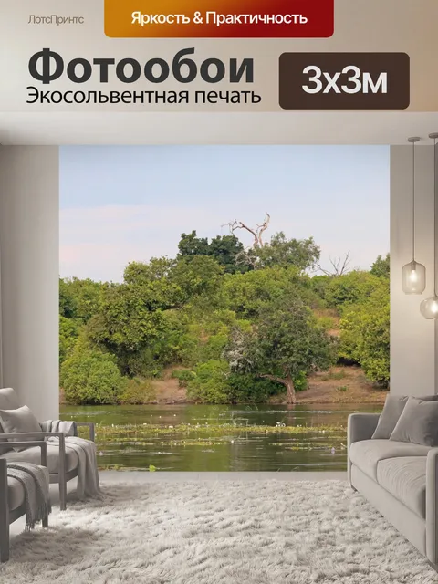 Фотообои река Чобе с водяными лилиями