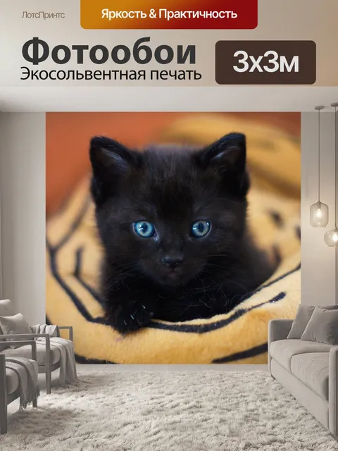 Фотообои Милый