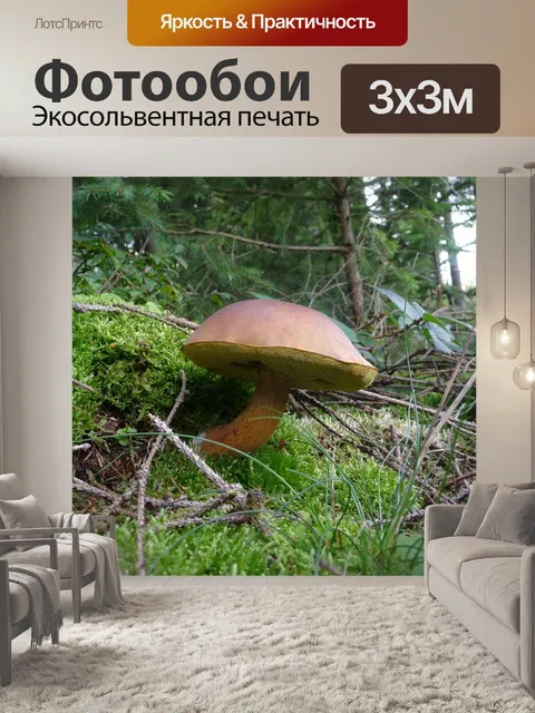 Фотообои Лес