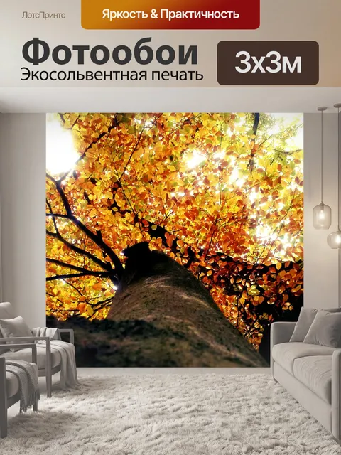 Фотообои Дерево