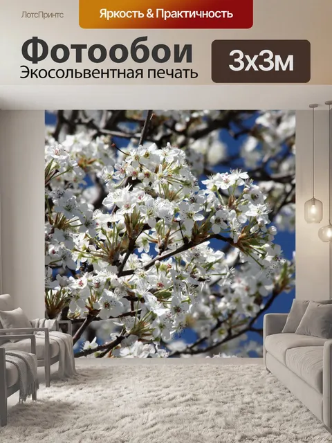 Фотообои Брэдфорд Груша весной