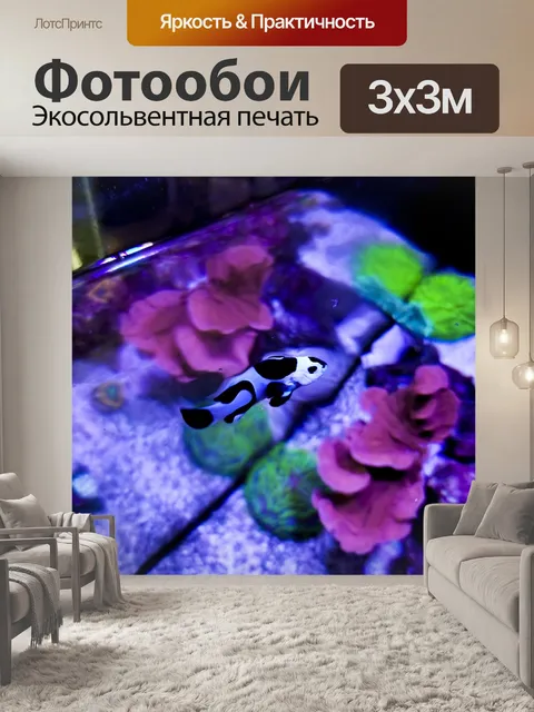 Фотообои Редкие черные и белые рыбы