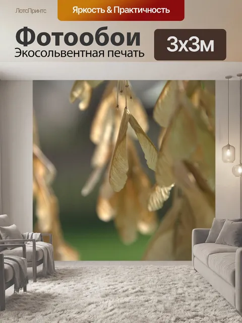 Фотообои Листья