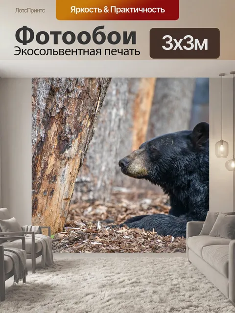 Фотообои Дерево