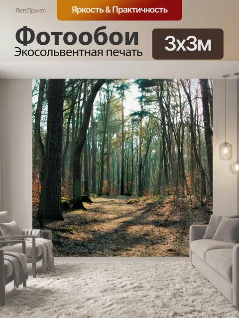 Фотообои Лес