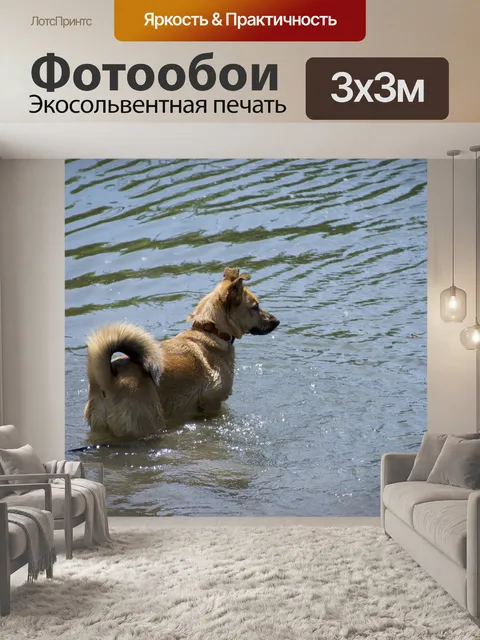 Фотообои Собака
