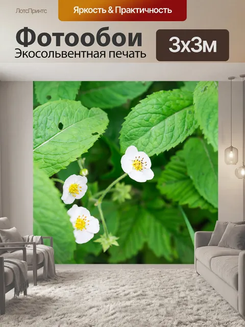 Фотообои Цветок