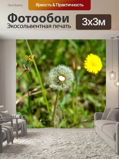 Фотообои Одуванчик