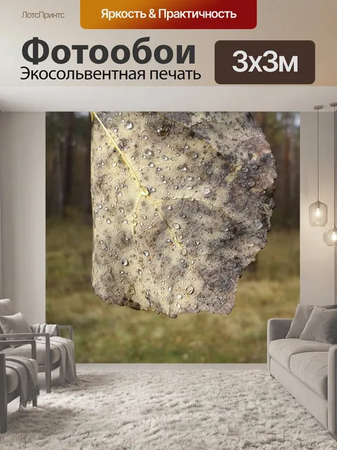 Фотообои Лист