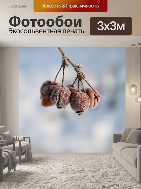Фотообои Мороз