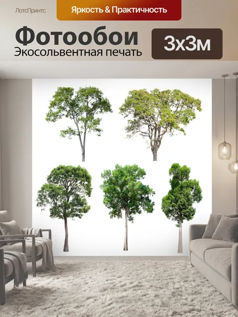 Фотообои Деревья