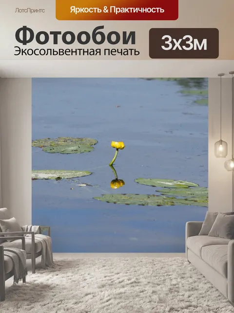 Фотообои Кресс-салат