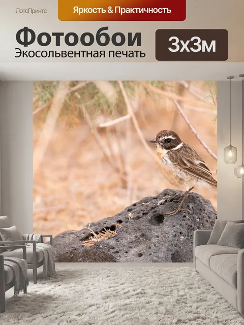 Фотообои Воробей