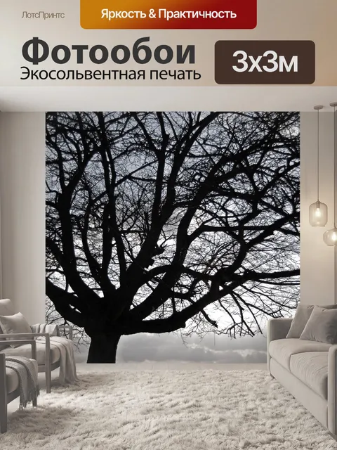 Фотообои Силуэт дерева