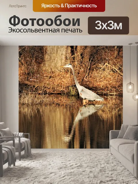 Фотообои Большая голубая цапля и отражение