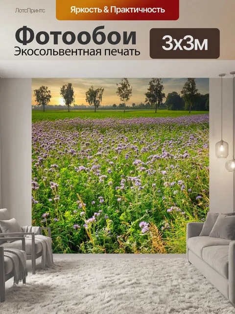 Фотообои Цветы