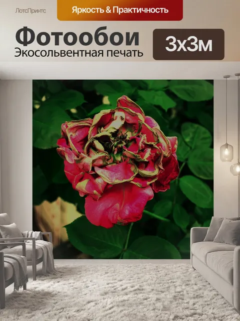 Фотообои Розовый