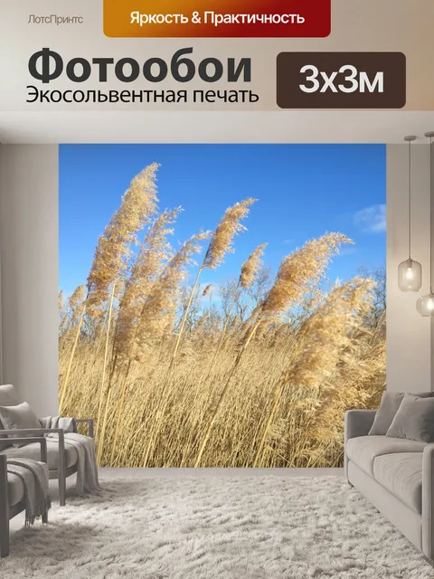 Фотообои Дикие камыши в нетронутой природе