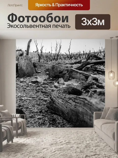 Фотообои Б ж