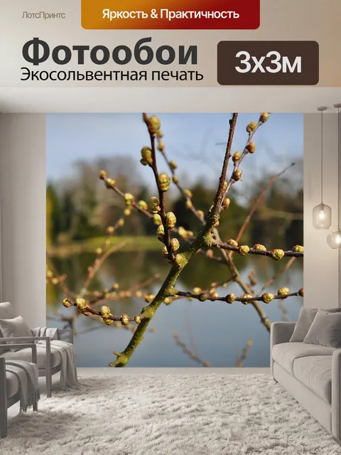 Фотообои Дерево
